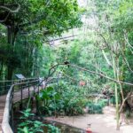 Parque Municipal Morro do São Bento em Ribeirão Preto