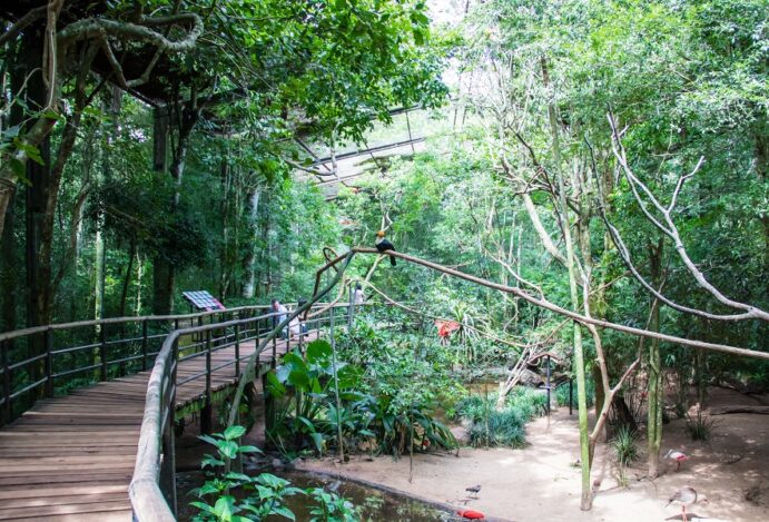 Parque Municipal Morro do São Bento em Ribeirão Preto