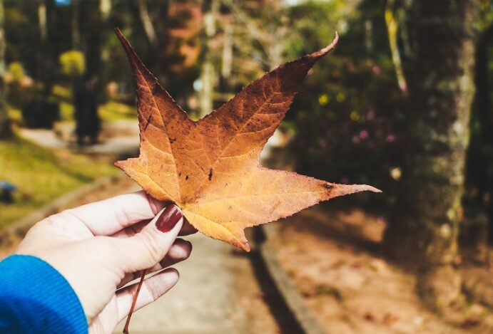 Clima europeu, coração brasileiro: Curitiba é o destino do Dia das Mães!
