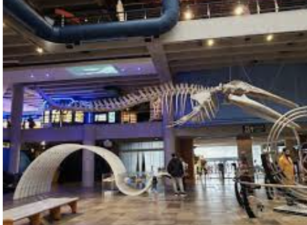 Lugares para ir em dias chuvosos em Porto Alegre