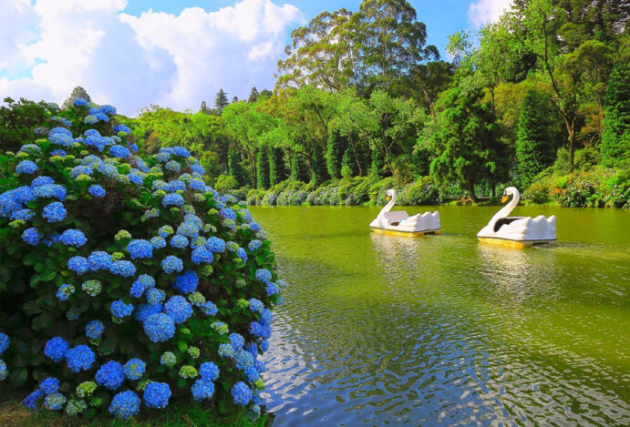 Onde fica Campinas um guia para te ajudar