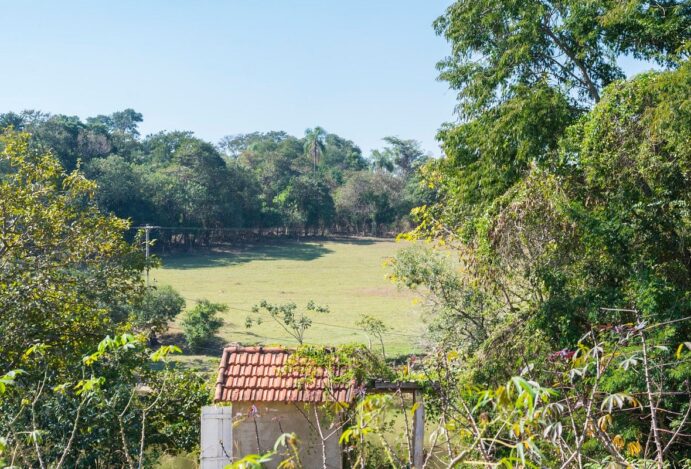 Por que visitar Campinas