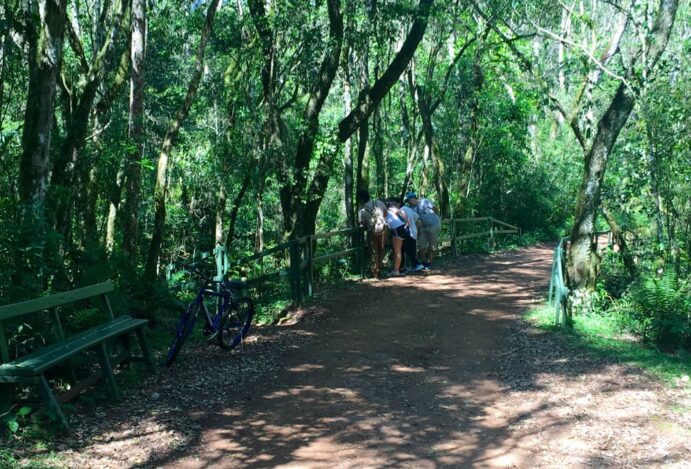 O Click da Natureza Urbana: Poços sobre o Olhar Fotográfico