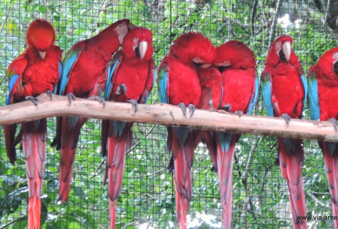 O que fazer em Foz do Iguaçu em três dias: descubra aqui