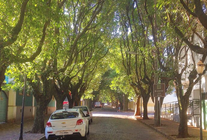 Planejamento e organização de eventos em Araraquara