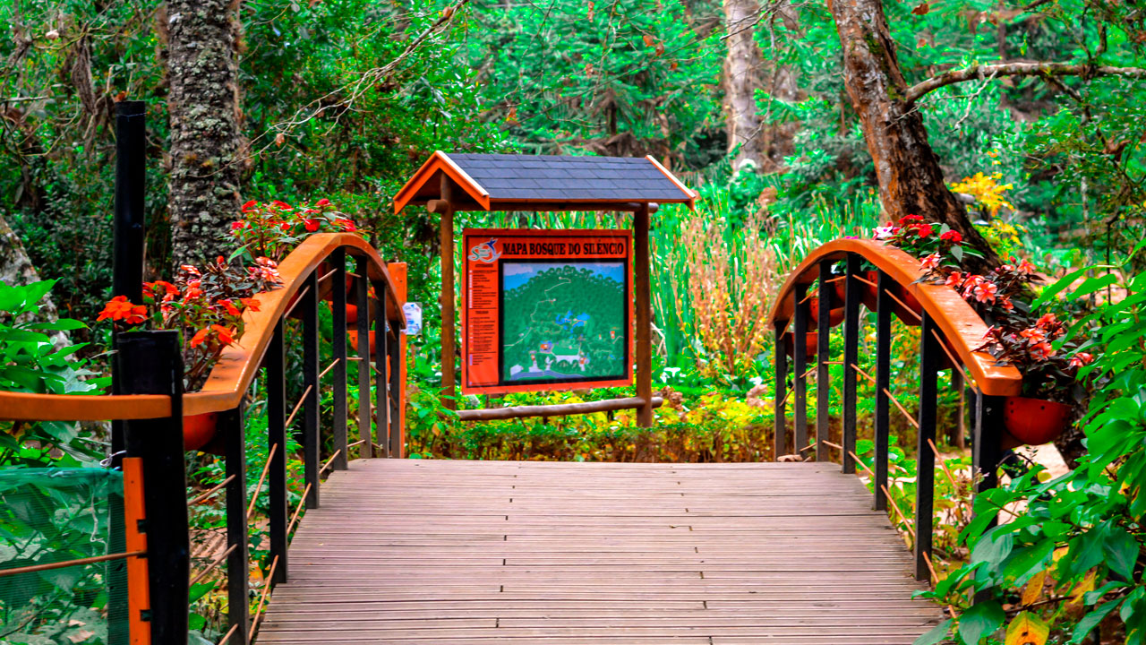 Campos do Jordão passeio Cinco lugares essenciais Bosque Campos do Jordão passeio Cinco lugares essenciais Bosque do silêncio