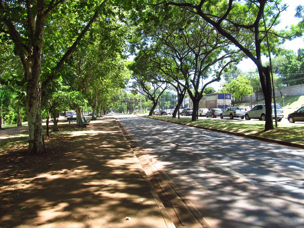 principais bairros de Foz do Iguaçu Centro