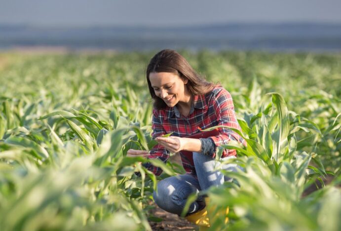 eventos de novembro 2022 em Foz do Iguaçu