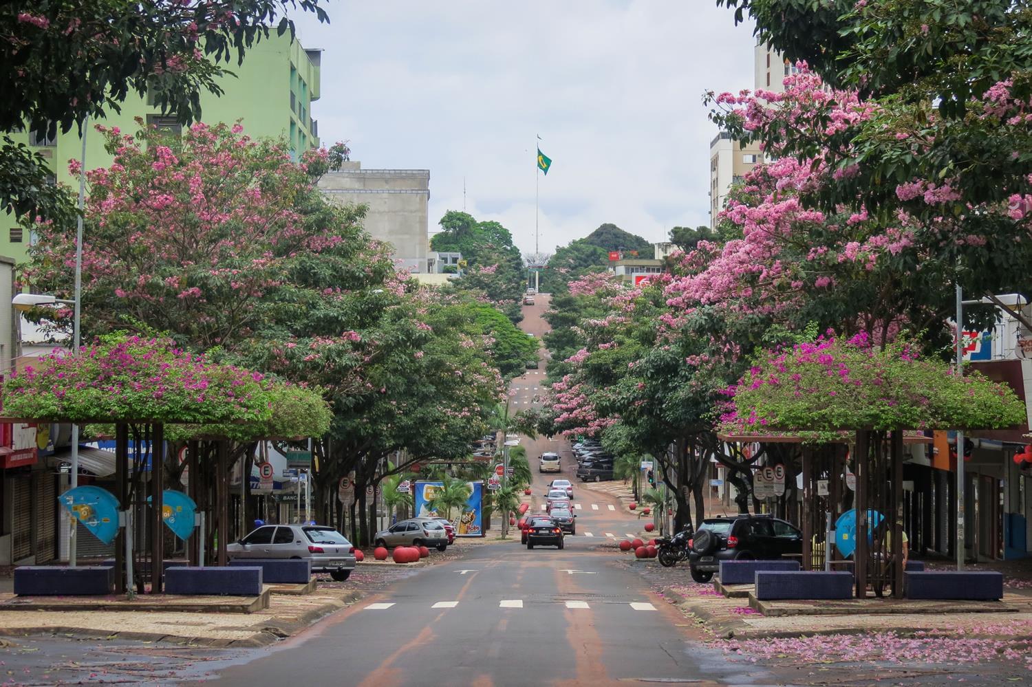 turistas em Foz do Iguaçu Transformação da Avenida Brasil