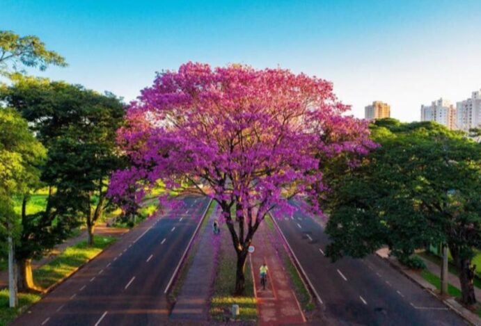 Conheça Curitiba e as 5 principais cidades do Paraná