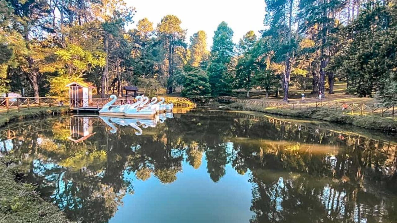 O que fazer em Campos do Jordão 50 sugestões Parque estadual