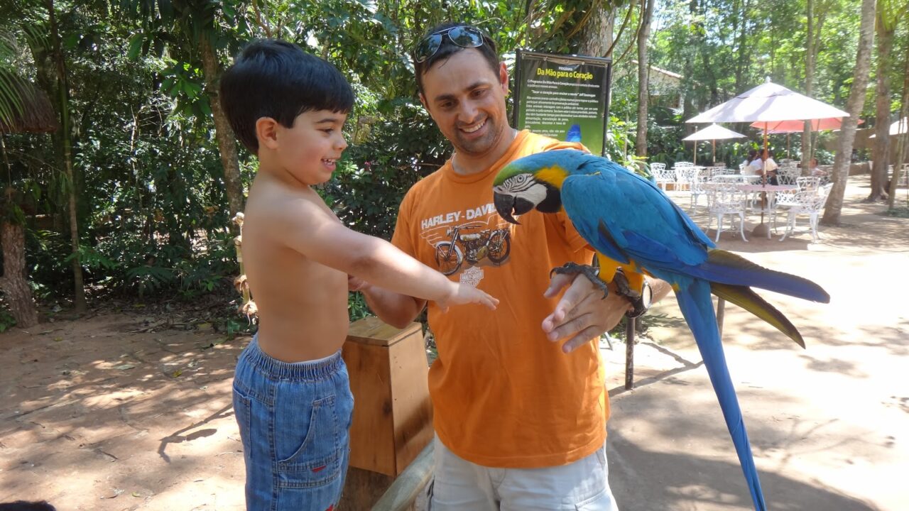 O que fazer em Foz do Iguaçu no domingo 12 sugestões= o que fazer em foz do Iguaçu no domingo Parque das Aves