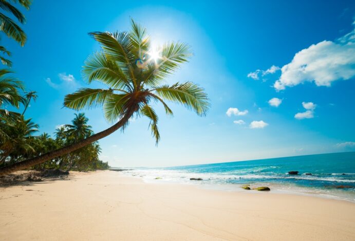 viagem em família barata