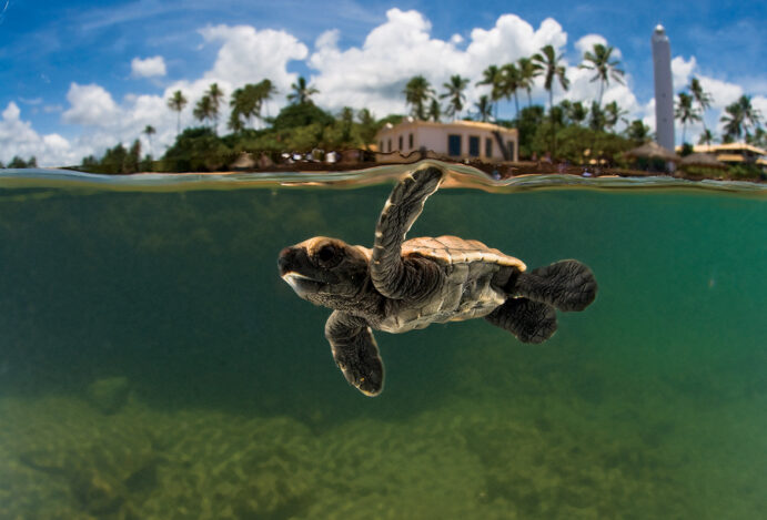 Cinco destinos especiais para uma viagem curta em família