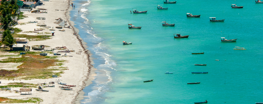 O que conhecer em Recife O que conhecer em Recife