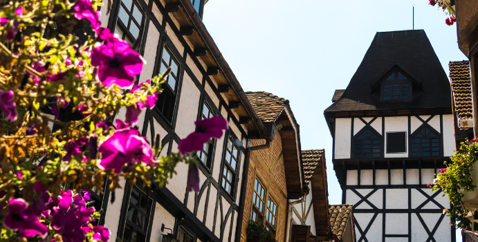 Silêncio que Fala: O Convite Sereno do Bosque de Campos do Jordão