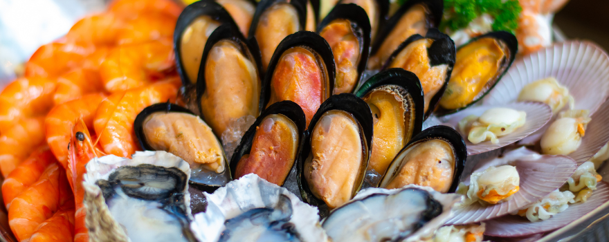 Melhores lugares para comer em Recife– Melhores lugares para comer em Recife