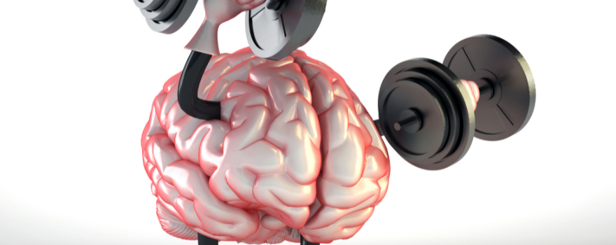 O que fazer em Piedade, Jaboatão dos Guararapes