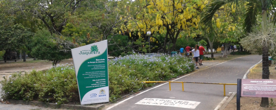 Passeios baratos em Recife