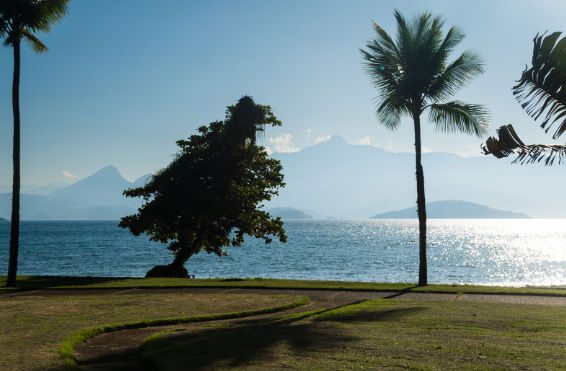 Caminhos do Sol: O Verão Brasileiro em Destinos Imperdíveis!”