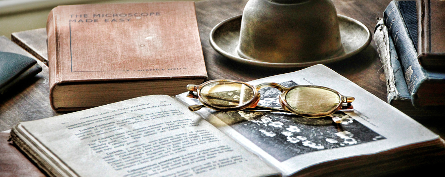 A História e a Cultura da Praça Rui Barbosa em Araçatuba