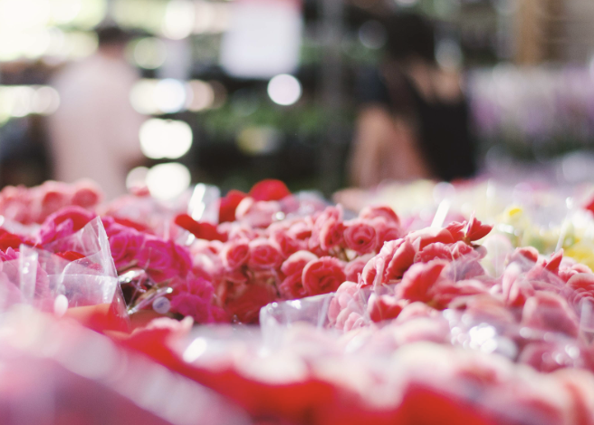 Despertar das Flores: Avenida Pedro Basso e Seu Espetáculo Botânico