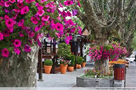 Descobrindo Campos do Jordão: A Perfeita União de Natureza e Conforto na Primavera