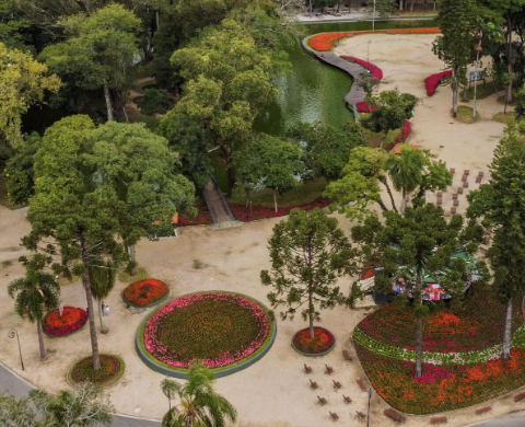 Feriado da Independência em Curitiba: Onde a Liberdade Encontra a Diversão