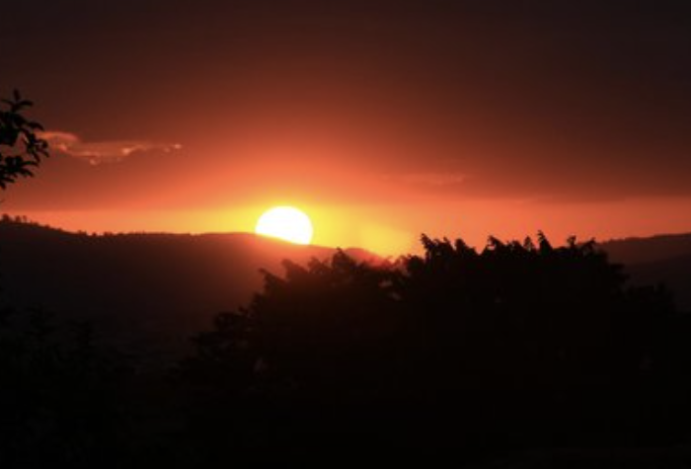 A Primavera Nunca Foi Tão Deslumbrante em Nossos Resorts