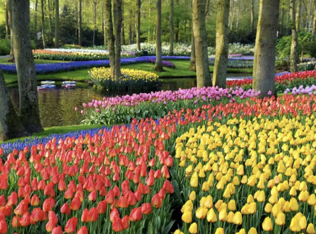 Primavera de Emoções: Viva a Estação Mais Colorida no Golden Park!