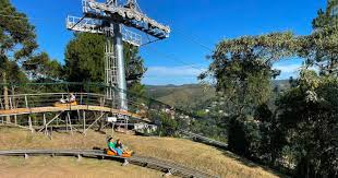 Trenó da Montanha em Campos do Jordão: Um Dia de Lazer e Aventura