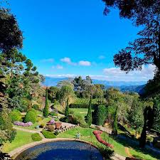 Campos do Jordão para entusiastas de jardinagem: visitas a jardins particulares e workshops