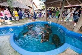 Os Melhores Passeios para Famílias em Ubatuba