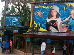 Ubatuba com Crianças – Roteiro de Diversão para os Pequenos