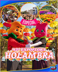 42ª Expoflora em Holambra: cores, aromas e experiências inesquecíveis com hospedagem no Euro Suite Campinas