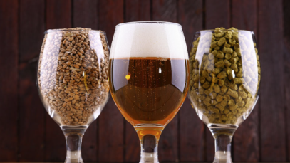 Cerveja, Comida e Som – Tudo Junto no Degusta in Sanca 2025