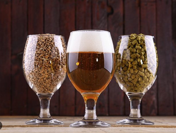 Cerveja, Comida e Som Tudo Junto no Degusta in Sanca 2025 Cerveja, Comida e Som – Tudo Junto no Degusta in Sanca 2025