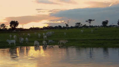 Proclamação da República em Franca: Feriado com Sotaque Caipira, História e Muito Descanso Merecido