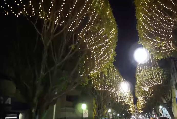 Luzes que Abraçam a Montanha: O Natal Iluminado no Parque do Cristo em Poços de Caldas