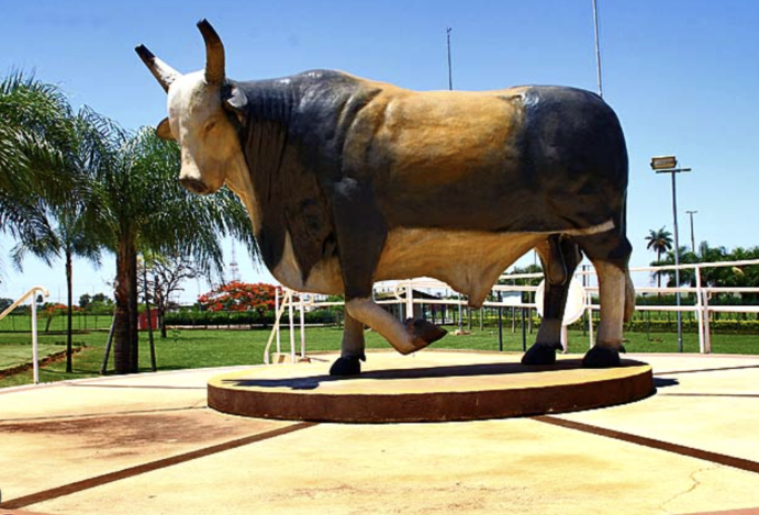 Memorial do Peão de Boiadeiro: Tradição, Emoção e História Viva em Barretos