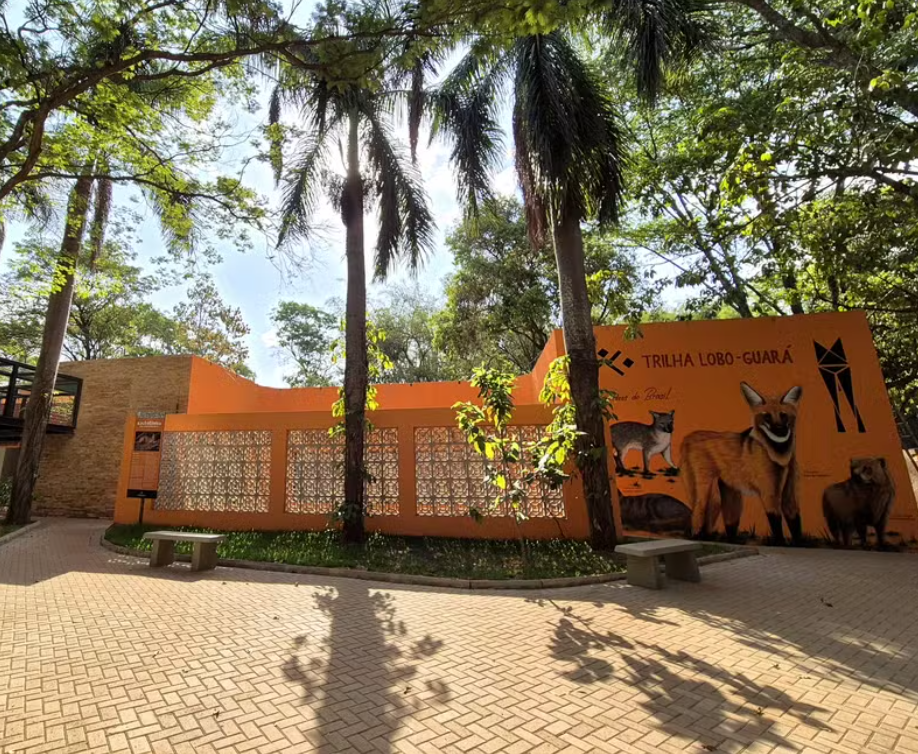 <h1>Parque Ecológico do Baguaçu: um refúgio verde no coração de Araçatuba</h1> Entre ruas movimentadas e o ritmo urbano de Araçatuba, existe um lugar onde o som das aves substitui o barulho dos carros e o ar puro convida à pausa: o Parque Ecológico do Baguaçu. Inaugurado em 22 de novembro de 1988, o espaço é um verdadeiro tesouro natural localizado às margens do Ribeirão Baguaçu, um santuário de biodiversidade que encanta moradores e turistas. Para quem se hospeda no Hotel Nacional Inn Araçatuba, visitar o parque é uma oportunidade de se conectar com a natureza sem precisar sair da cidade. Ideal para passeios em família, caminhadas tranquilas ou momentos de reflexão, o Parque do Baguaçu combina beleza natural, importância ambiental e valor histórico, tornando-se um dos principais pontos turísticos da região. <h2>Um patrimônio ambiental de Araçatuba</h2> Conhecido pela sigla PEBA, o Parque Ecológico do Baguaçu foi criado com o objetivo de preservar a fauna e a flora local, além de funcionar como espaço educativo voltado à conscientização ambiental. Ele está situado entre a Avenida Baguaçu, Avenida Waldir Felizola de Morais e Avenida Joaquim Pompeu de Toledo, em uma área privilegiada próxima à empresa SAMAR, responsável pelo tratamento de água e esgoto da cidade. Com mais de três décadas de existência, o parque abriga diversas espécies de plantas, aves e pequenos animais, sendo considerado um dos últimos refúgios ecológicos urbanos da região. Sua rica biodiversidade transforma o local em um verdadeiro laboratório natural, utilizado por estudantes, pesquisadores e amantes do meio ambiente. Os visitantes encontram trilhas ecológicas, áreas sombreadas e um cenário que muda a cada estação. Durante o passeio, é possível observar árvores nativas, bromélias e flores silvestres que embelezam os caminhos, enquanto o canto dos pássaros cria a trilha sonora perfeita para um dia de paz e contemplação. <h2>Trilhas, história e biodiversidade</h2> O Parque do Baguaçu se destaca também por sua trilha ecológica, que acompanha as margens do ribeirão e revela paisagens exuberantes. Antigamente, a área abrigava uma pedreira, utilizada na construção de parte da cidade. Com o tempo, o espaço foi revitalizado e transformado em um ambiente de preservação, voltado para o lazer e a educação ambiental. Hoje, as trilhas conduzem o visitante por um percurso que une história e natureza. Ao longo do caminho, é possível observar as antigas formações rochosas da pedreira, enquanto a vegetação reconstituída abriga diferentes espécies de aves. Muitos visitantes relatam avistar tucanos, maritacas, beija-flores e outras aves típicas da região, tornando o parque um paraíso para observadores e fotógrafos da vida selvagem. O Ribeirão Baguaçu, que dá nome ao parque, corta parte do terreno e oferece um cenário refrescante. O som da água correndo suavemente entre as pedras cria uma atmosfera relaxante, perfeita para quem busca momentos de descanso e reconexão. <h2>Educação e conscientização ambiental</h2> Mais do que um espaço de lazer, o Parque Ecológico do Baguaçu é um centro de educação ambiental ativo. A Secretaria Municipal de Meio Ambiente de Araçatuba mantém no local uma equipe dedicada a atividades pedagógicas voltadas para escolas, universidades e grupos comunitários. As visitas podem ser agendadas e incluem trilhas monitoradas, oficinas e palestras sobre sustentabilidade, reciclagem e preservação da fauna e flora. Essa iniciativa aproxima crianças e jovens do contato direto com o meio ambiente, despertando desde cedo a consciência ecológica e o respeito pela natureza. O parque também recebe eventos anuais ligados à Semana do Meio Ambiente, ações de reflorestamento e programas de voluntariado, que ajudam na manutenção e revitalização das áreas verdes. <h2>Um passeio tranquilo e acessível</h2> Aberto ao público de segunda a sexta-feira, das 8h às 17h, o Parque Ecológico do Baguaçu é gratuito e de fácil acesso para quem está no centro da cidade. Sua infraestrutura é simples, mas funcional, e conta com áreas de descanso, pontos de observação e uma pequena sede administrativa usada para atividades de pesquisa e monitoramento ambiental. A experiência é ideal para quem busca um passeio tranquilo, cercado pela natureza, longe da correria cotidiana. Caminhar pelas trilhas, respirar ar puro e observar a vida ao redor é uma forma de desacelerar e recarregar as energias, algo que combina perfeitamente com o espírito acolhedor de Araçatuba. <h2>Como chegar a partir do Hotel Nacional Inn Araçatuba</h2> Localizado a poucos minutos do Hotel Nacional Inn Araçatuba, o parque é de fácil acesso tanto de carro quanto de transporte por aplicativo. O trajeto leva cerca de 10 minutos, cruzando avenidas centrais até a Rua Baguaçu, número 1259. A dica é visitar o parque pela manhã, quando o clima está mais ameno e a luz natural realça o verde intenso da vegetação. Após o passeio, o visitante pode aproveitar para almoçar em um dos restaurantes próximos e, em seguida, retornar ao hotel para relaxar. O Nacional Inn Araçatuba oferece todo o conforto necessário após um dia de caminhada e exploração, com quartos amplos, ar-condicionado, Wi-Fi gratuito, café da manhã completo e uma equipe sempre disposta a auxiliar com dicas sobre o que fazer na cidade. <h2>Um convite à reconexão</h2> O Parque Ecológico do Baguaçu é um lembrete de que o contato com a natureza pode estar mais perto do que imaginamos. Entre árvores centenárias e o som da água, o visitante encontra paz, aprendizado e um novo olhar sobre o meio ambiente. Ao escolher o Hotel Nacional Inn Araçatuba como base, é possível unir comodidade, boa localização e experiências autênticas. O hotel, situado no coração da cidade, oferece fácil acesso a todas as atrações de Araçatuba, do agito dos bares e restaurantes ao refúgio tranquilo do parque. Visitar o Baguaçu é uma forma de valorizar a beleza natural da região e vivenciar momentos que equilibram corpo e mente. É um passeio que agrada a quem ama natureza, fotografia, caminhadas ou simplesmente deseja respirar ar puro. Entre o conforto do Nacional Inn e a serenidade do parque, o visitante descobre o melhor de Araçatuba: uma cidade que acolhe, preserva e encanta, com o verde como cenário e a hospitalidade mineira da Rede Nacional Inn como companhia.